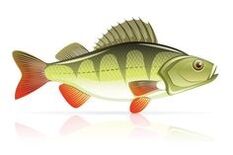 Mier fir Pankreatitis